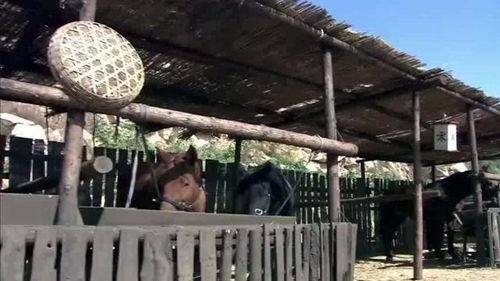 娱乐搞怪侠,笑料横生，江湖奇遇记